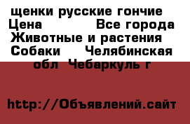 щенки русские гончие › Цена ­ 4 000 - Все города Животные и растения » Собаки   . Челябинская обл.,Чебаркуль г.